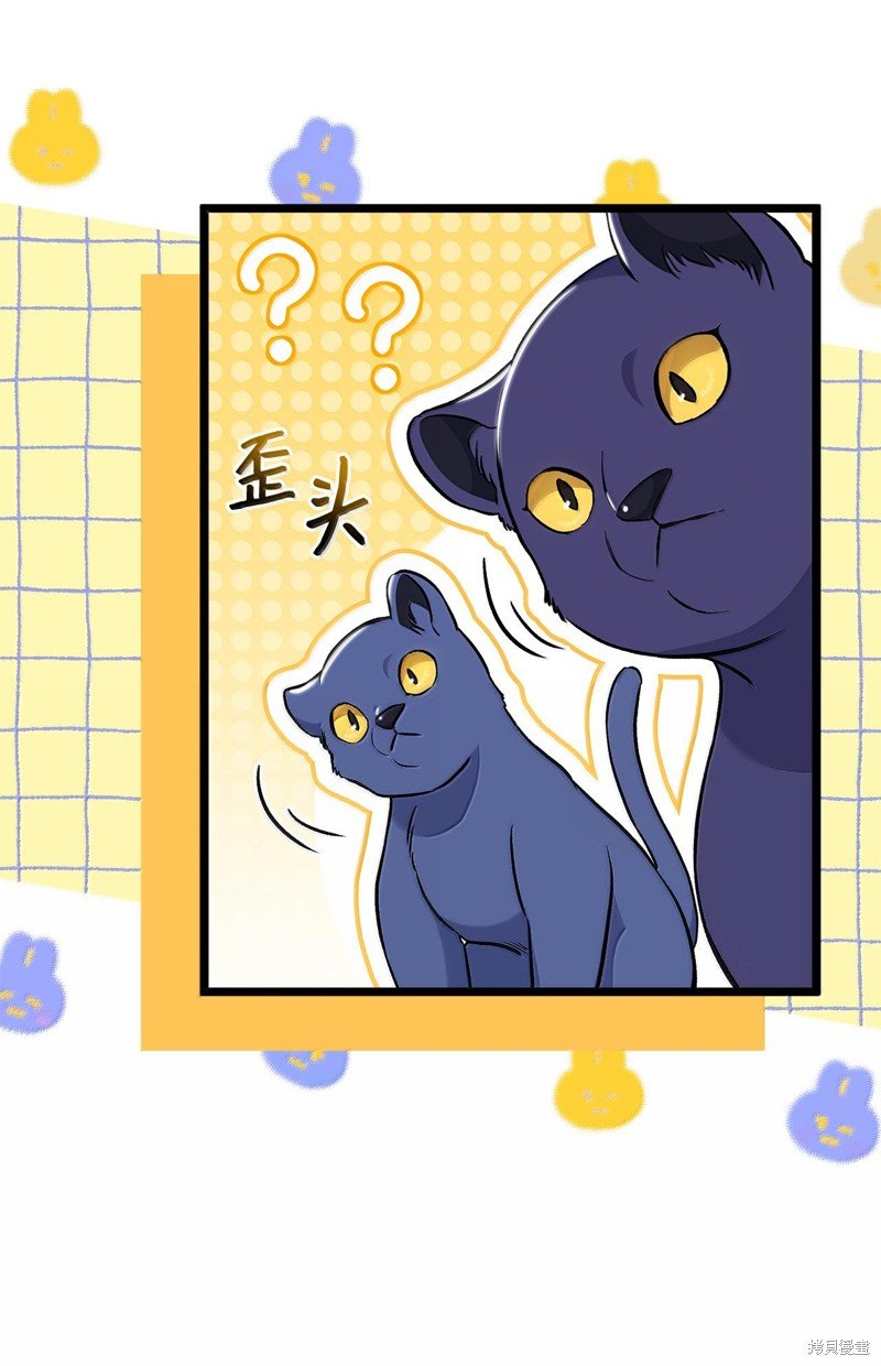 第134话