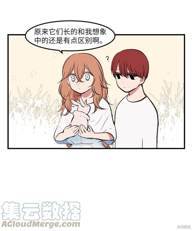 第104话