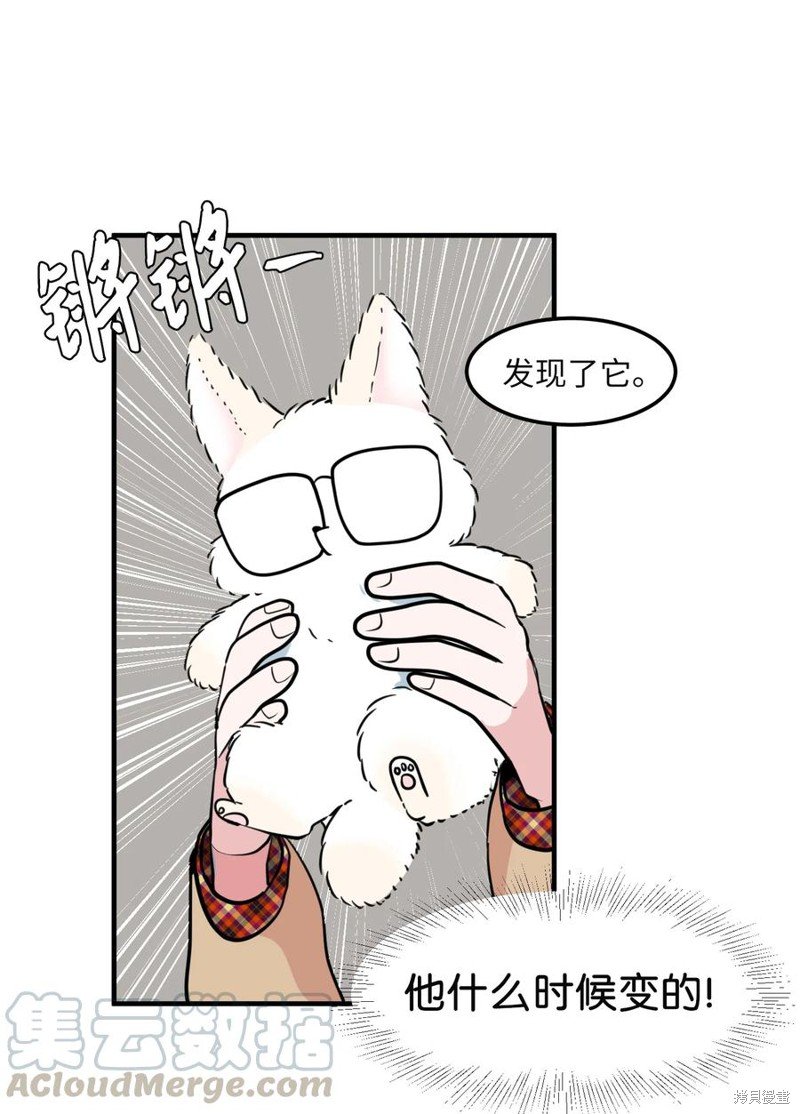 第70话