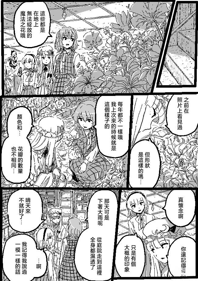 花与人偶