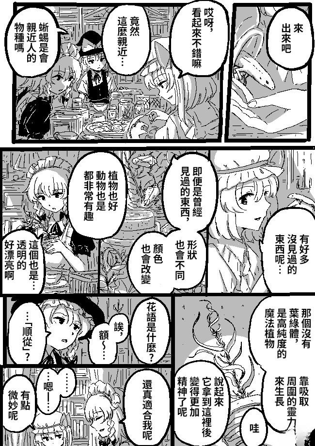魔理沙与芙兰