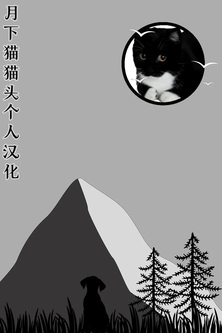 第11-15话