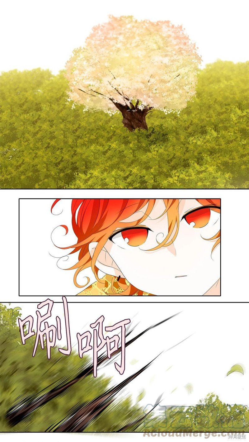 第169话