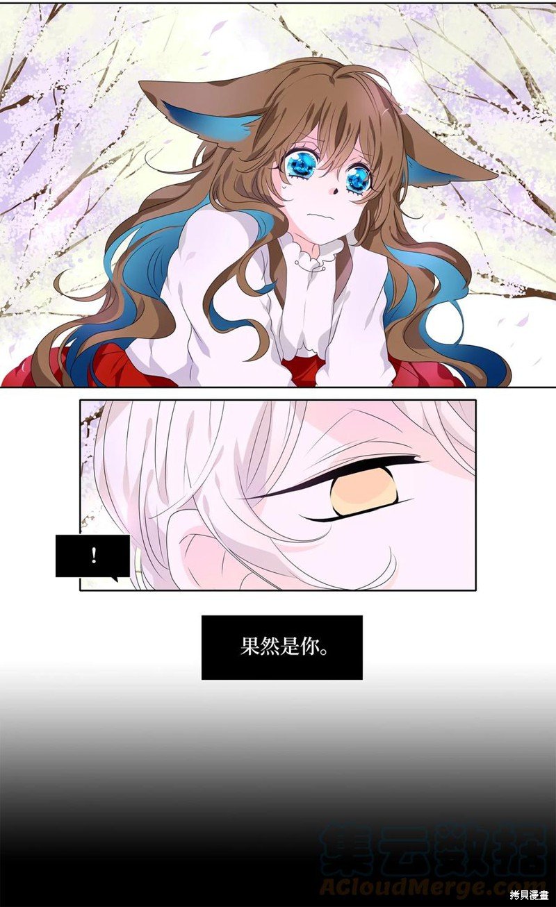 第204话