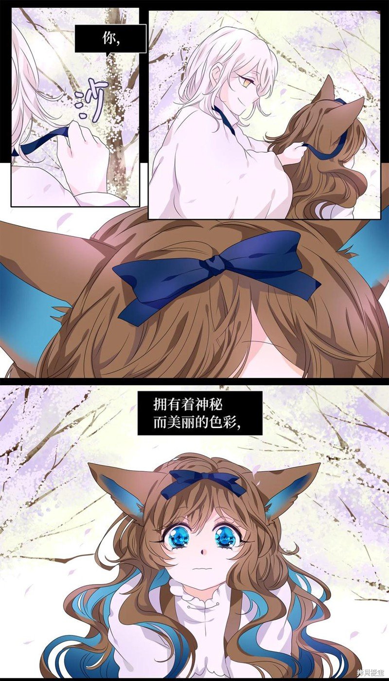 第204话