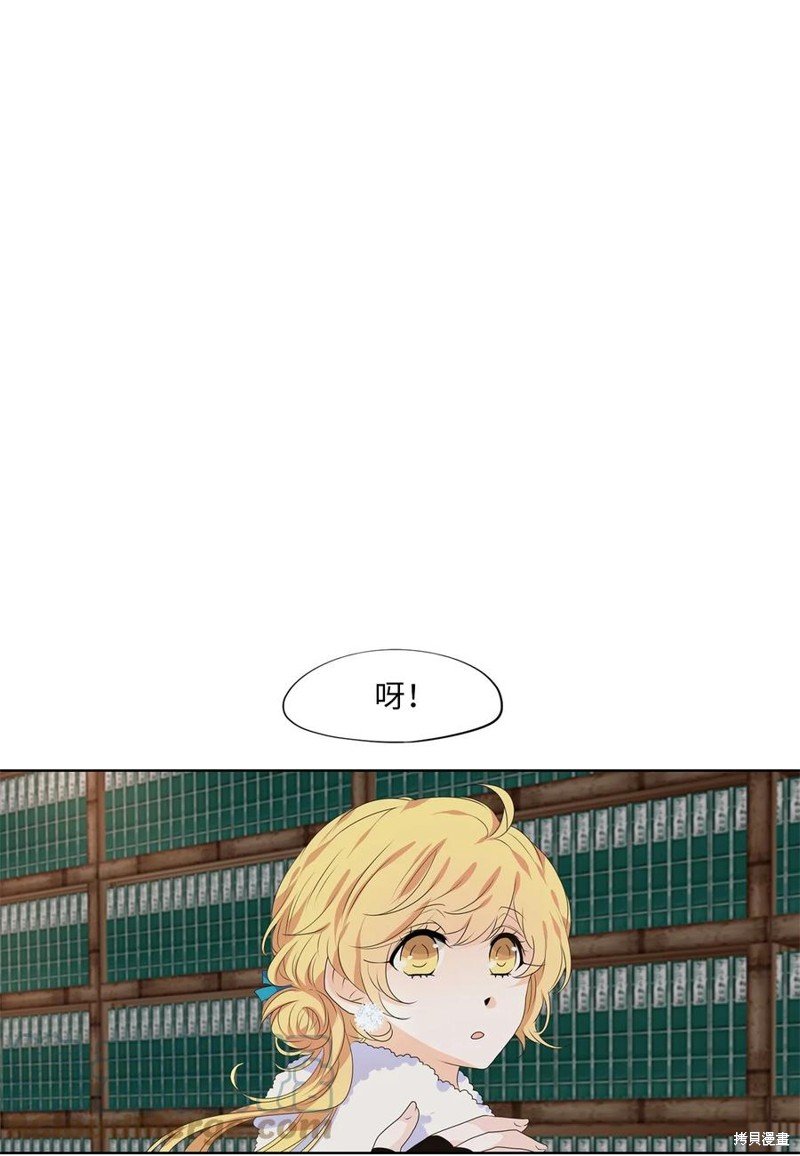 第217话