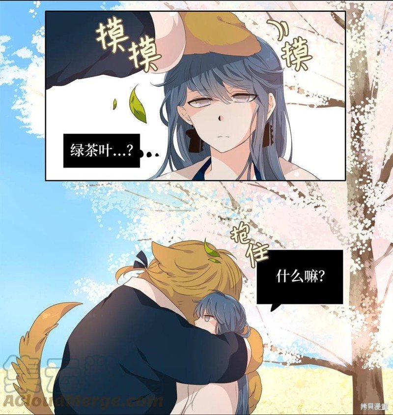 第224话