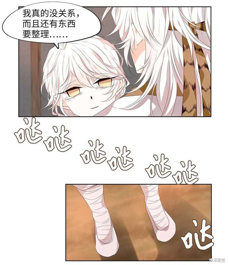 第285话