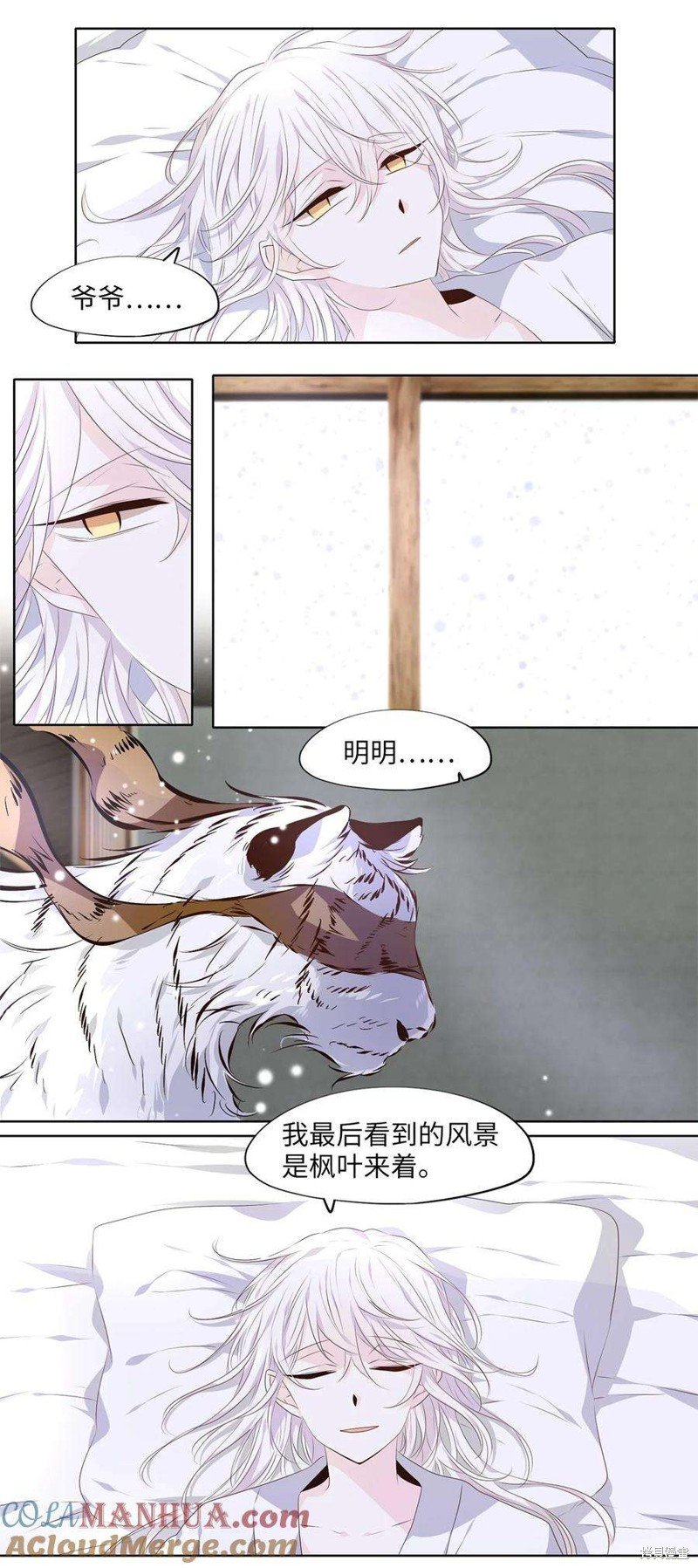 第285话
