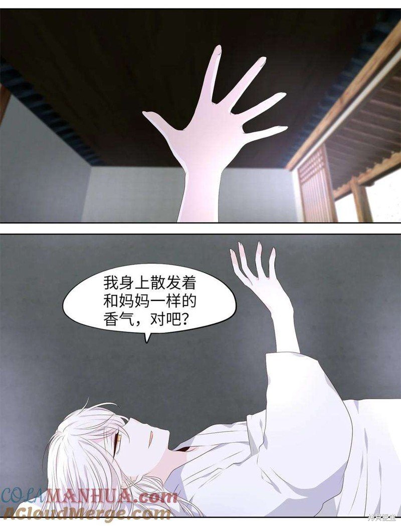 第285话