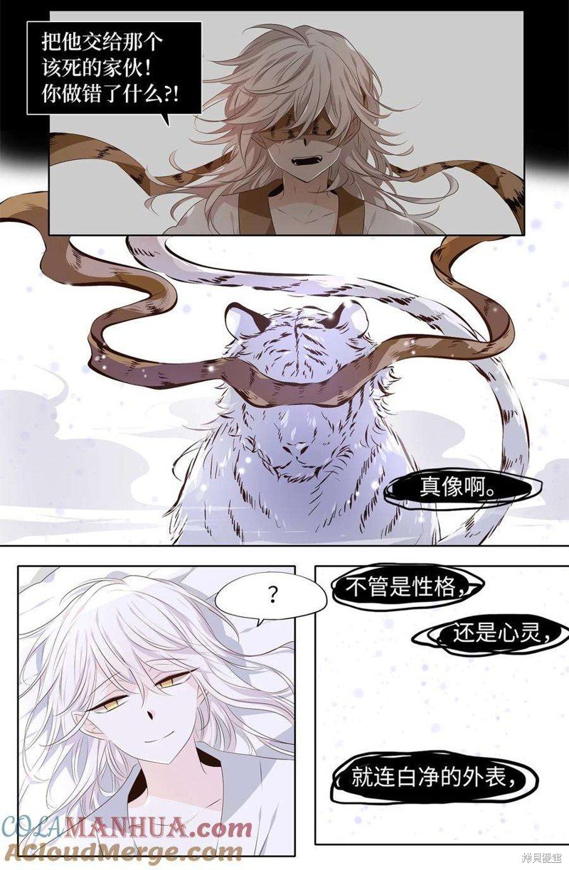 第285话