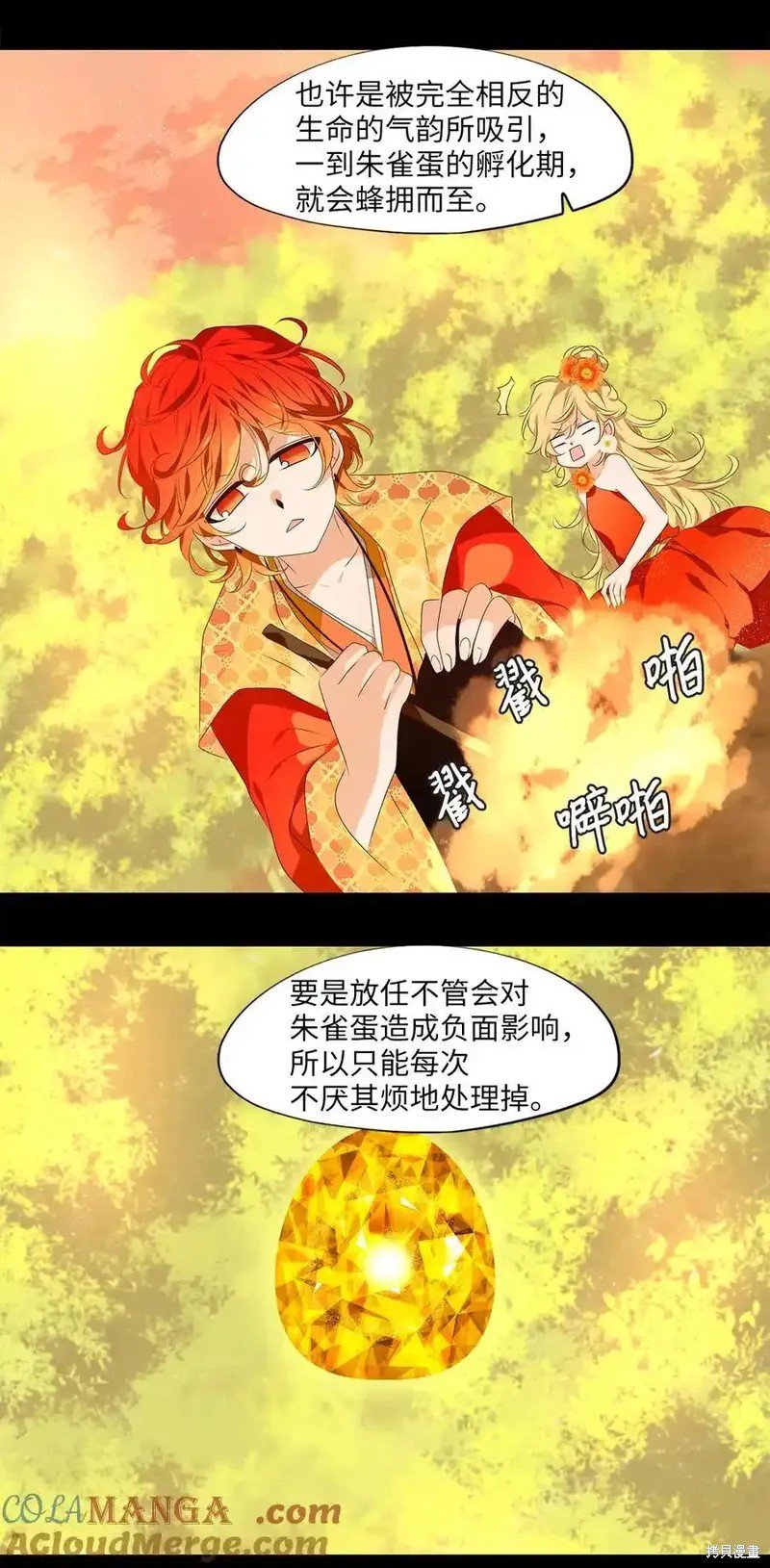 第311话