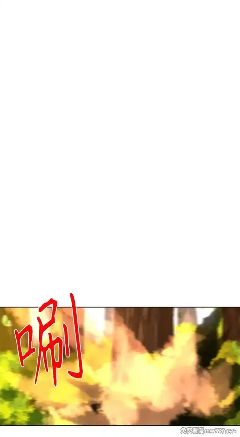 第316话