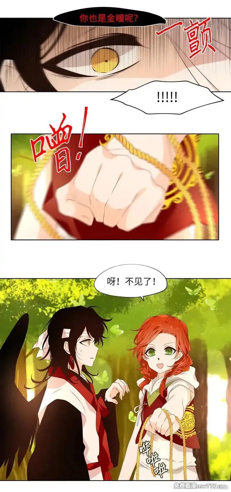第316话