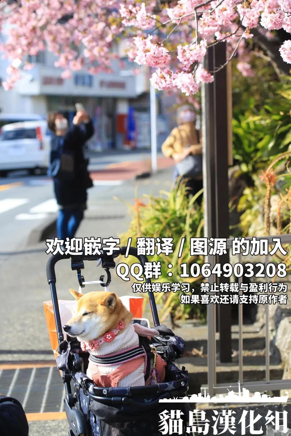 全一卷