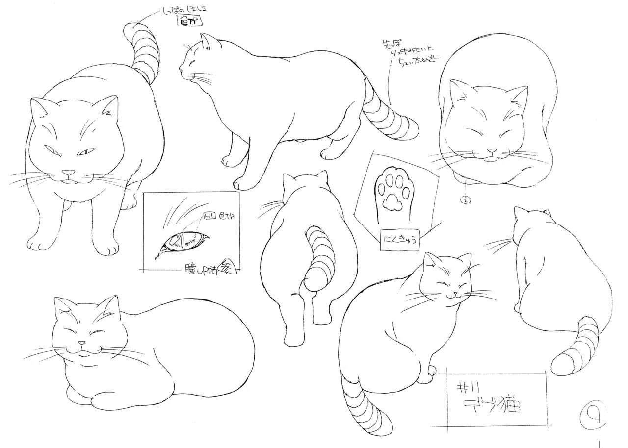 设定集