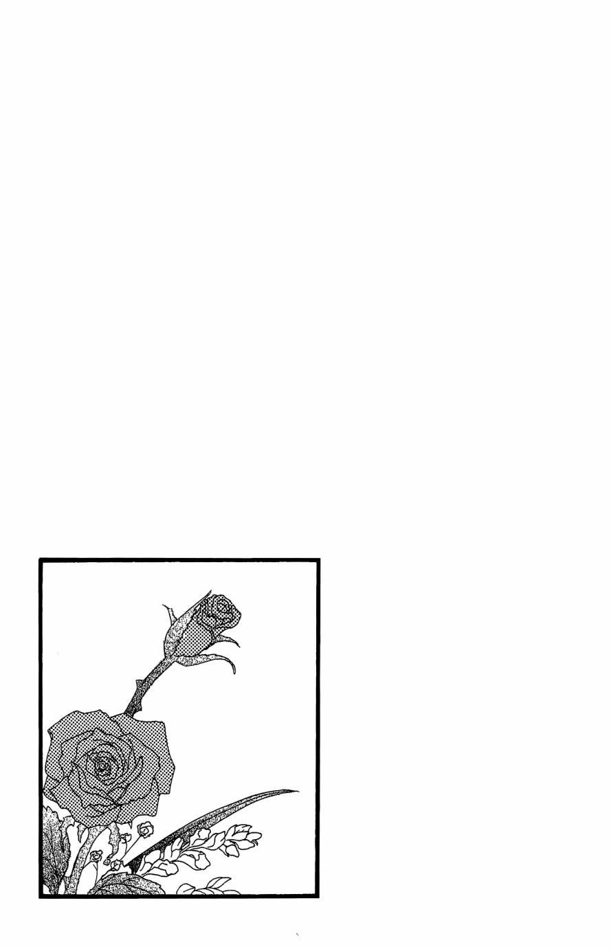 第25卷