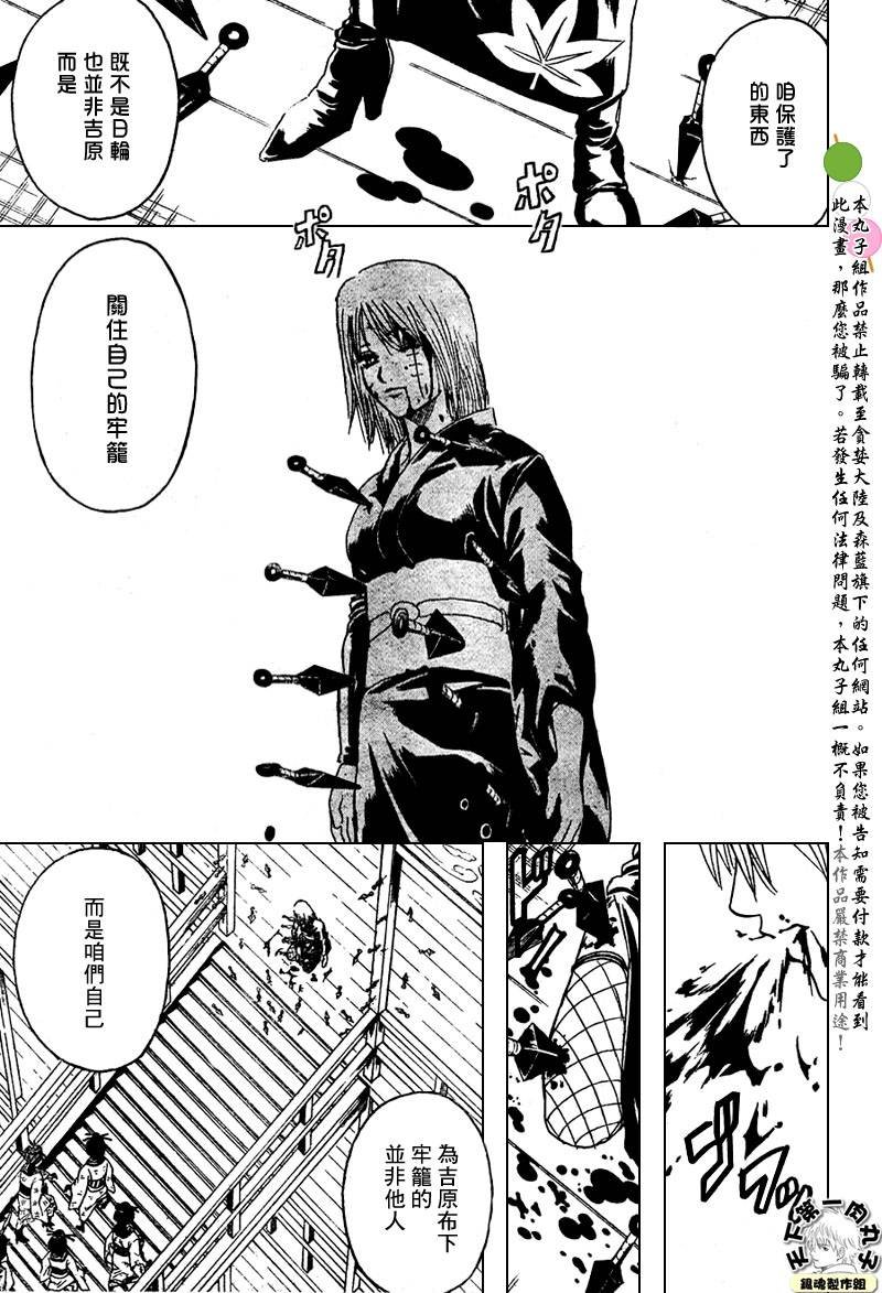 第217话
