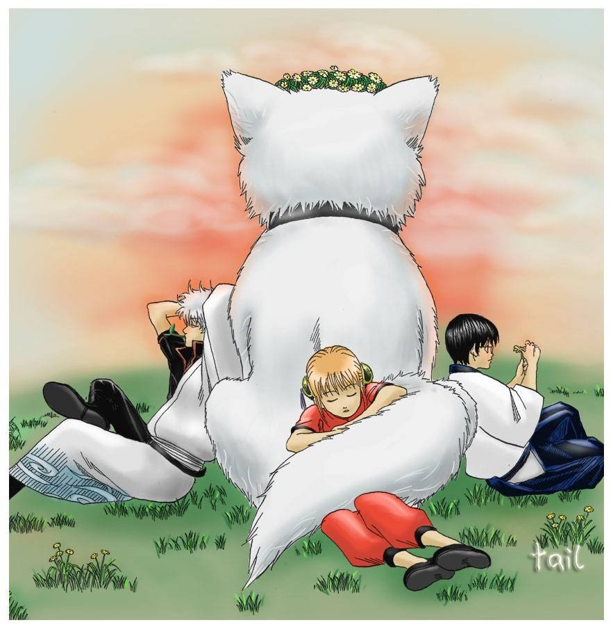 第264话