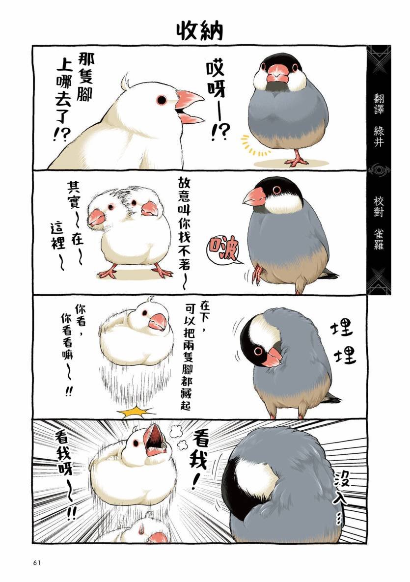 第3.1话