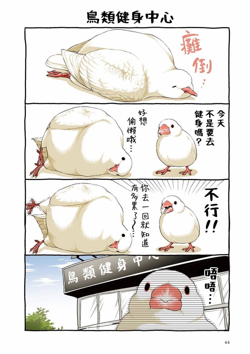第3.1话