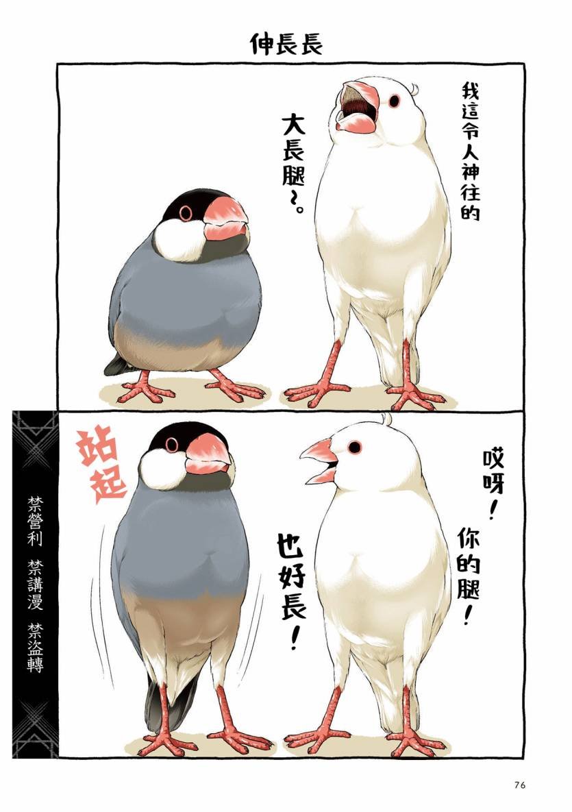 第3.1话