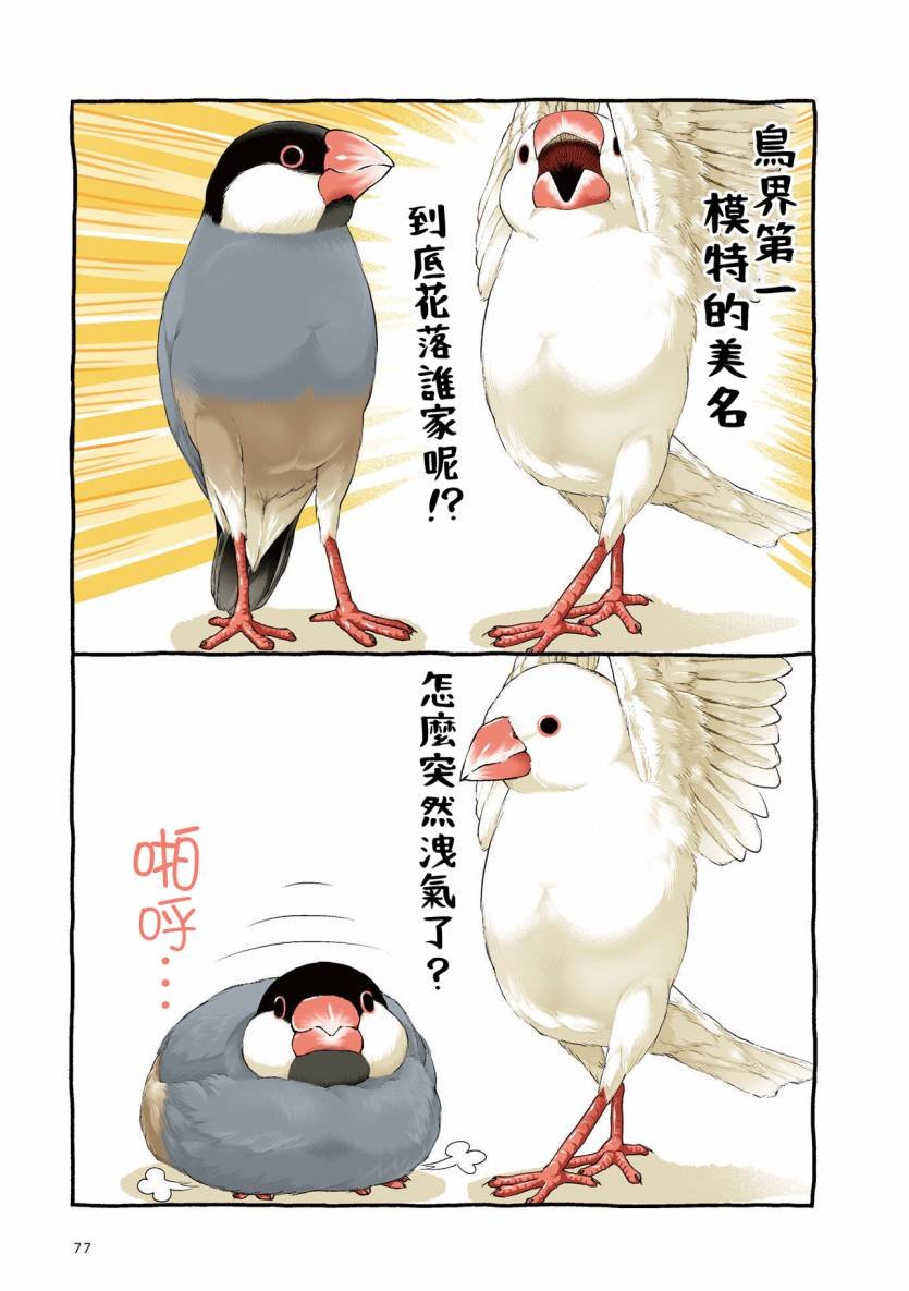 第3.1话