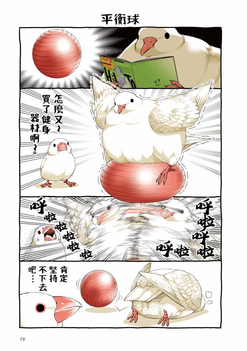 第3.1话