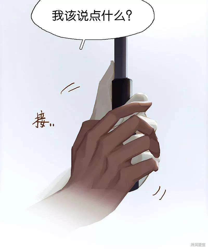 最终话