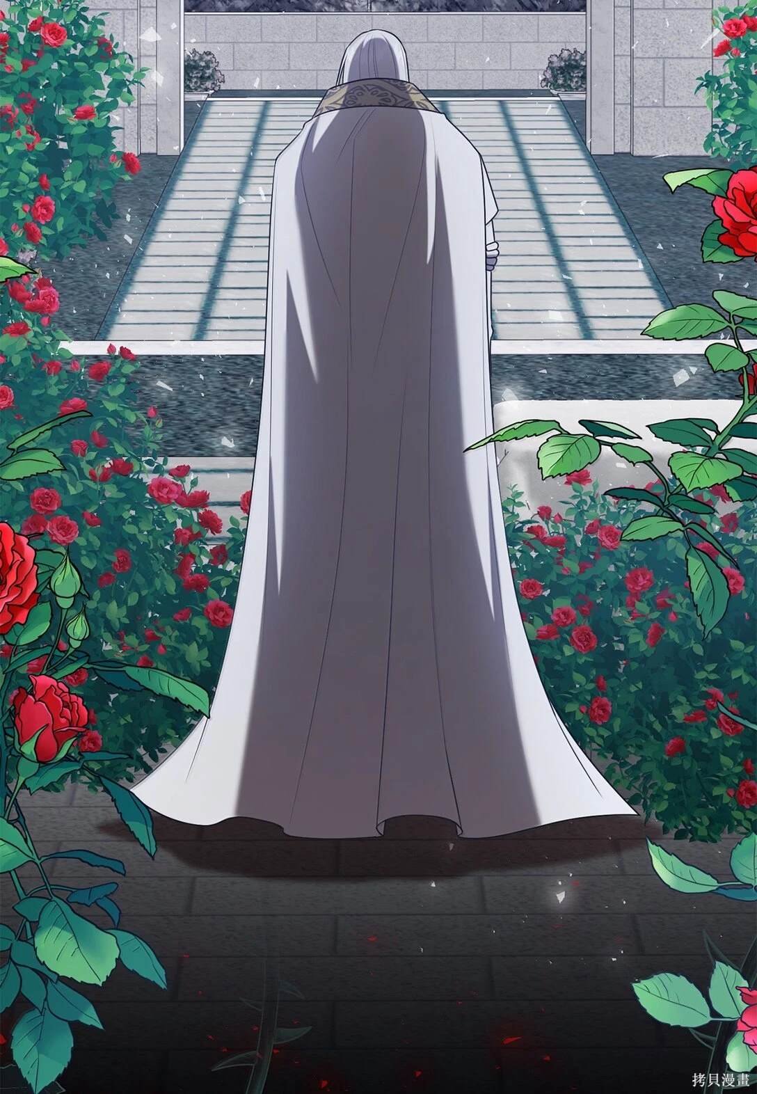 第116话