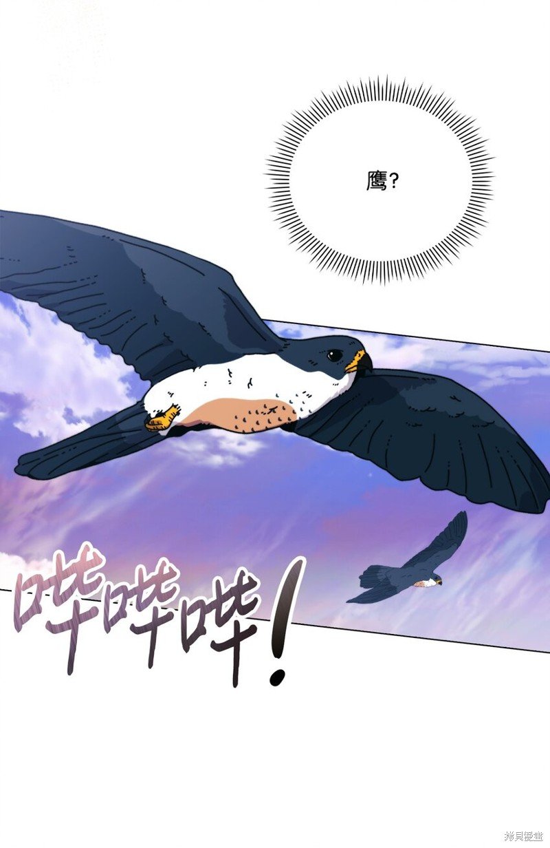 第75话