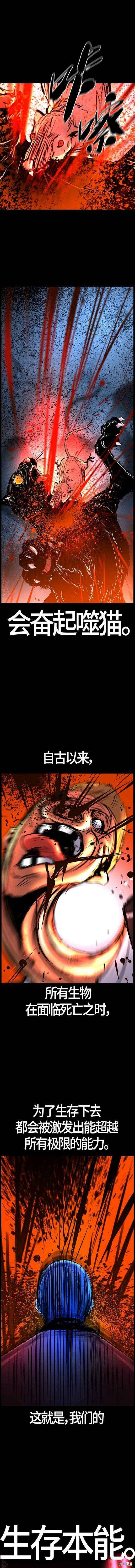 第2季11话