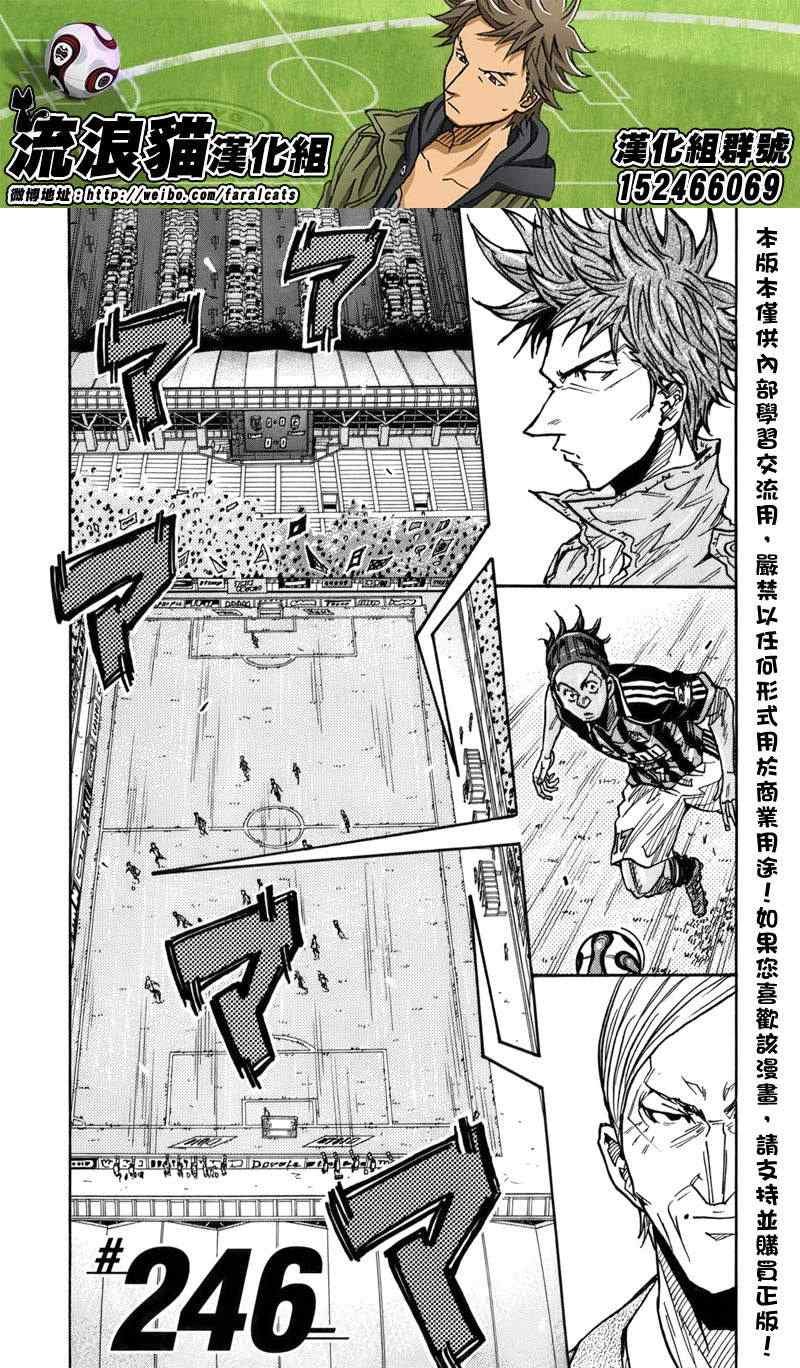 第246话
