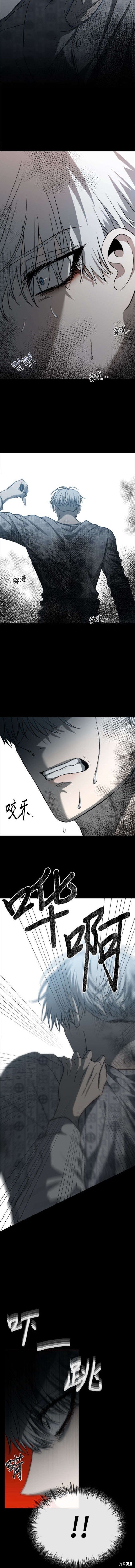 第117话