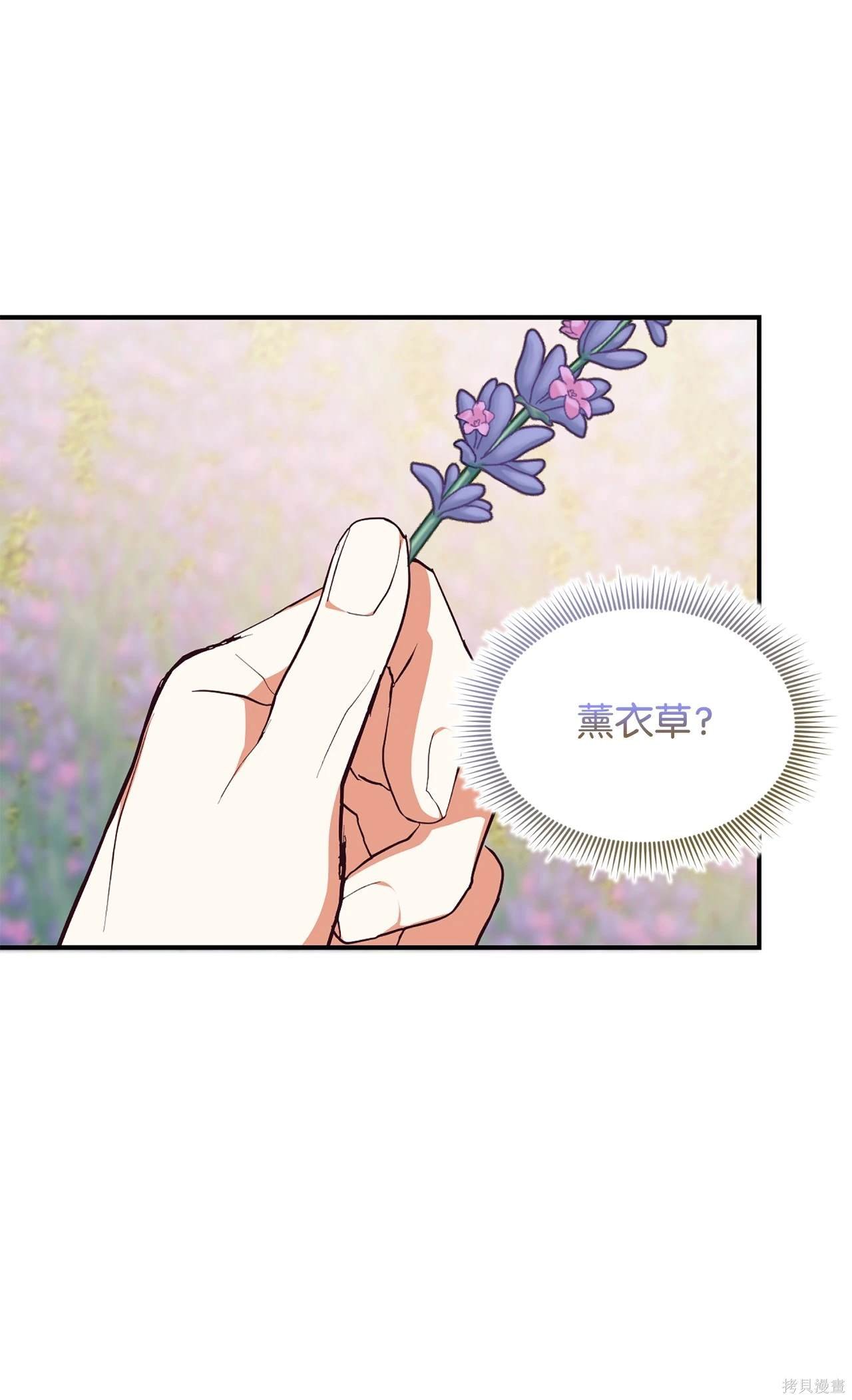 第117话
