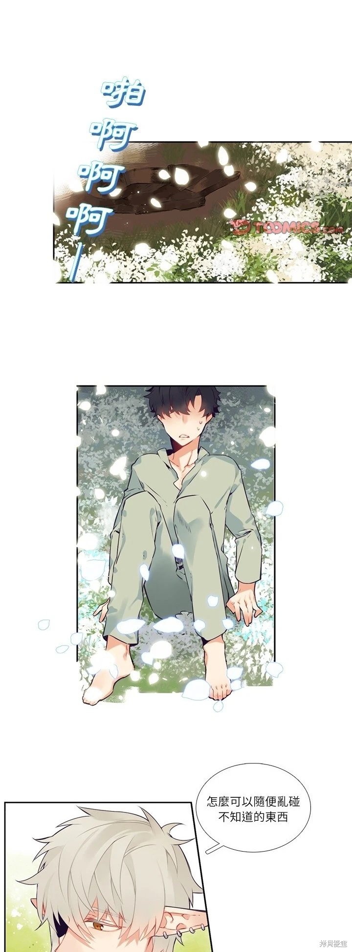 第117话