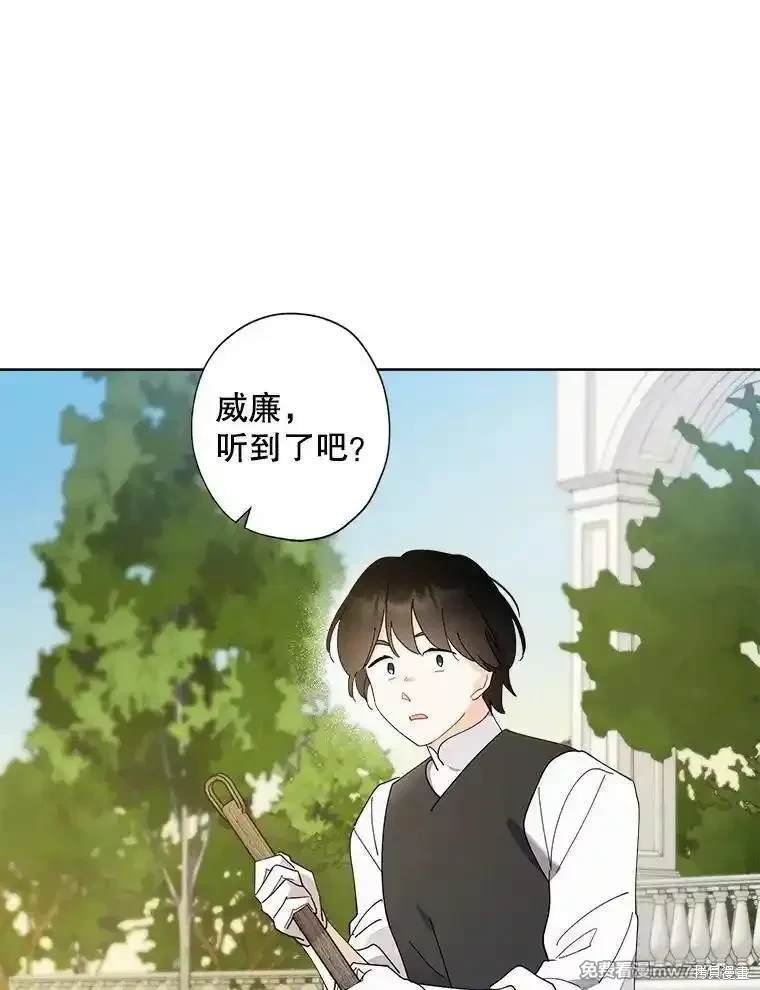 第117话