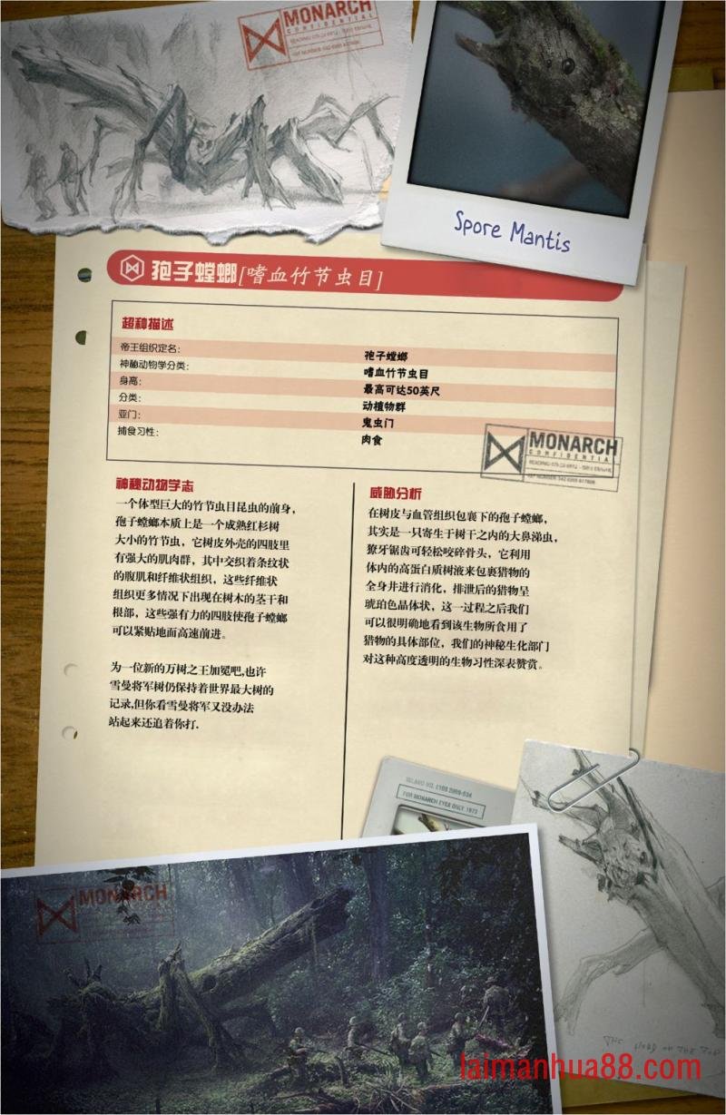 怪兽档案
