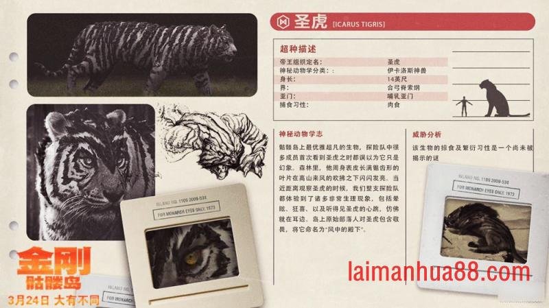 怪兽档案
