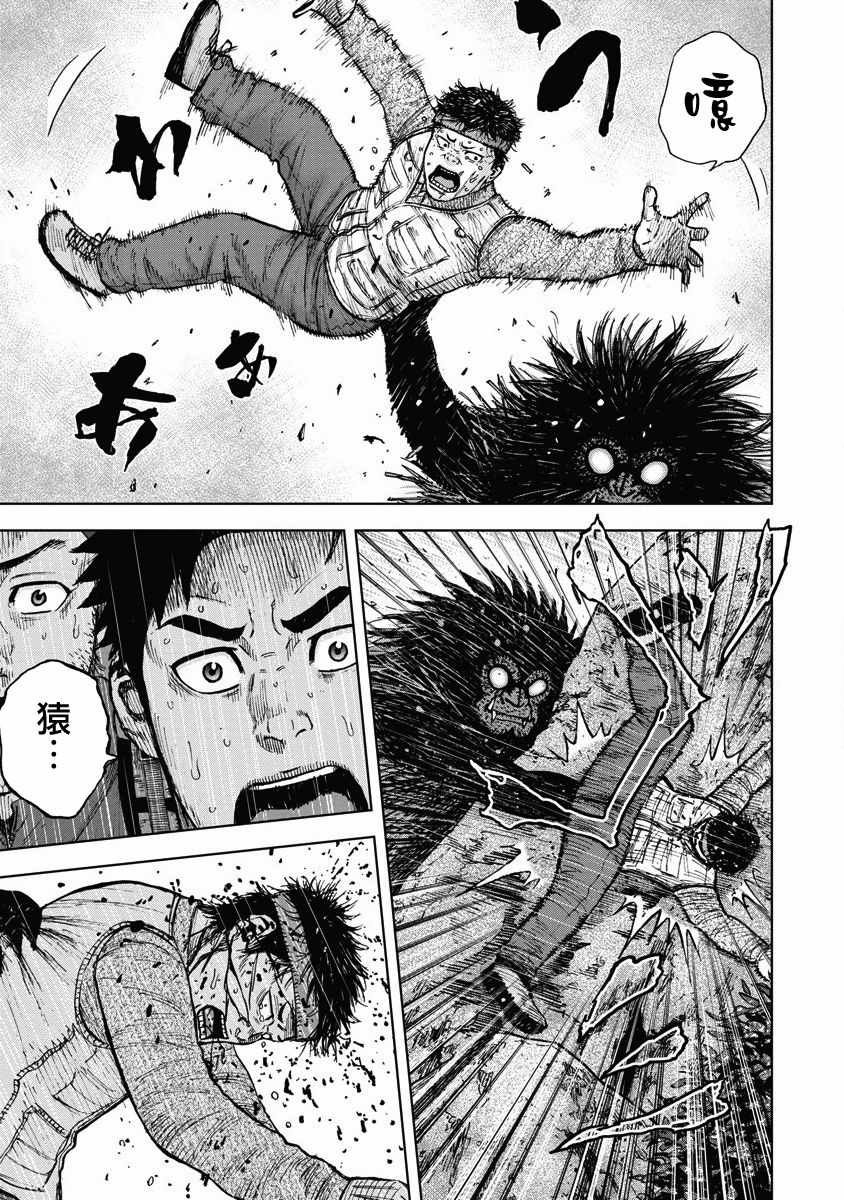 第5话 玩耍森林