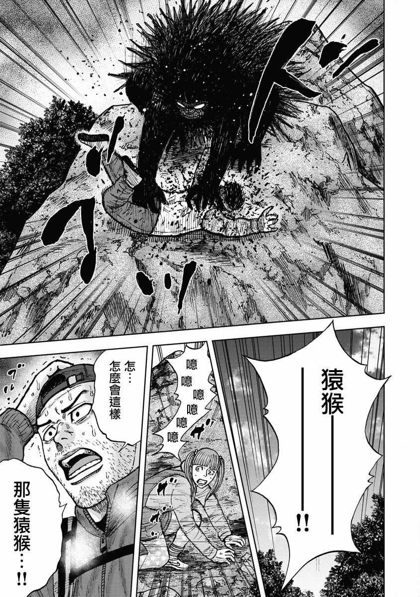 第5话 玩耍森林