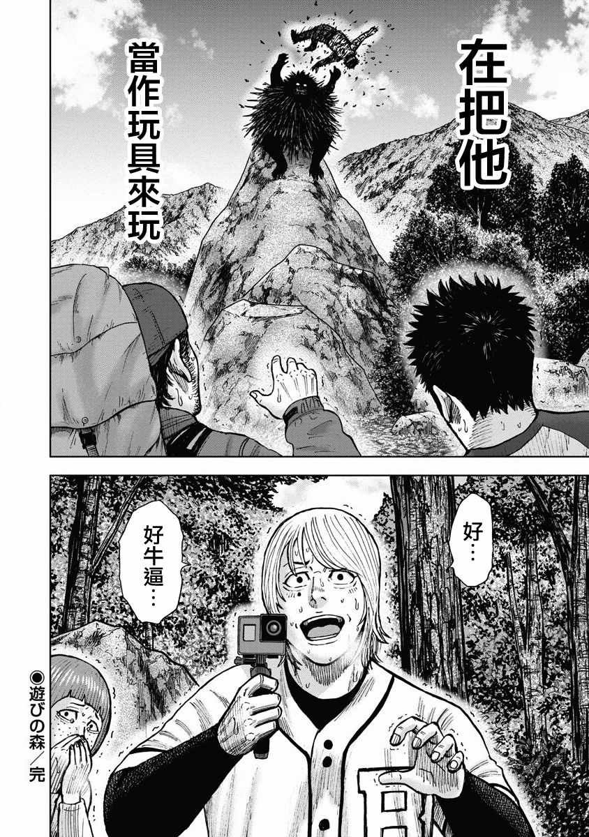 第5话 玩耍森林
