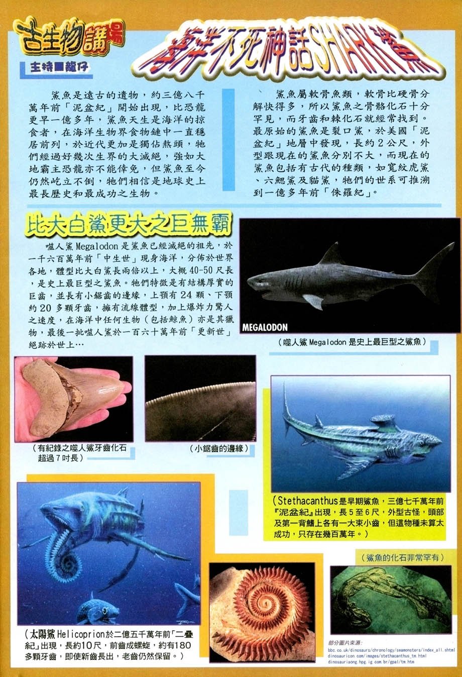 第19卷