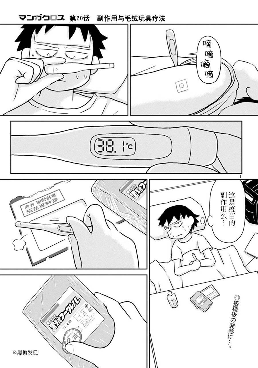 网络版20