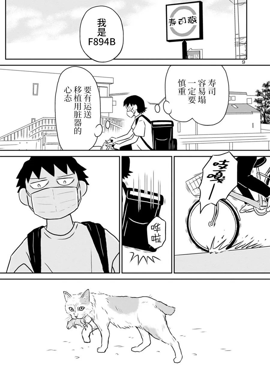 网络版18