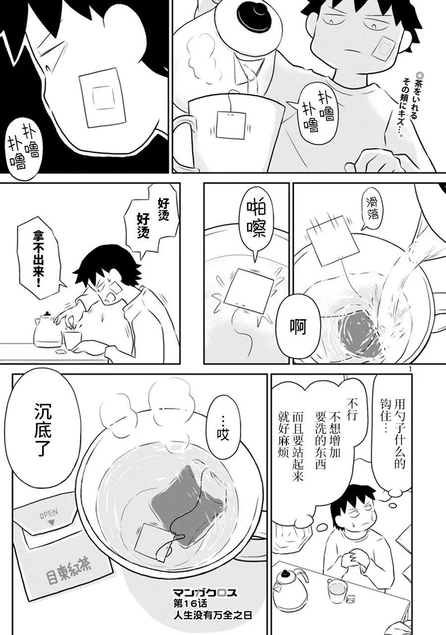 网络版16