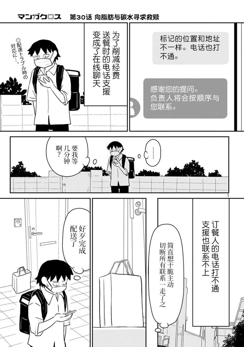 网络版30