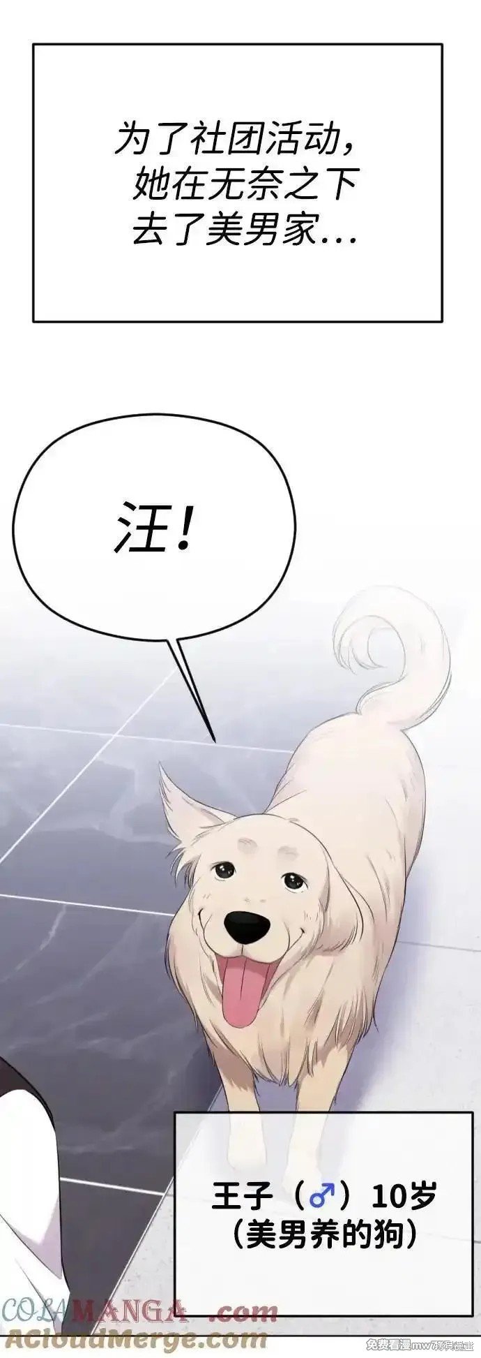 第一季回顾