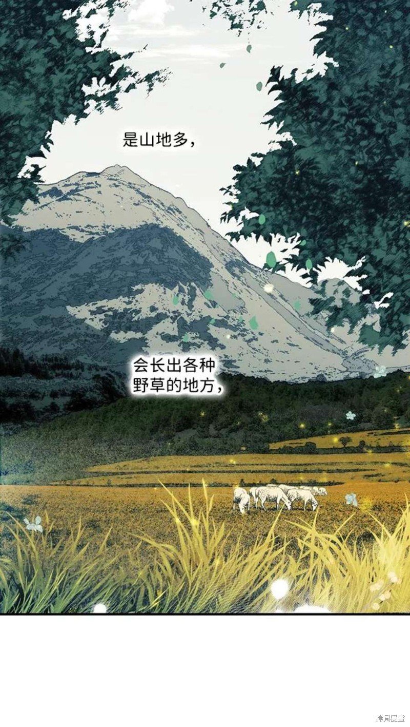 第102话