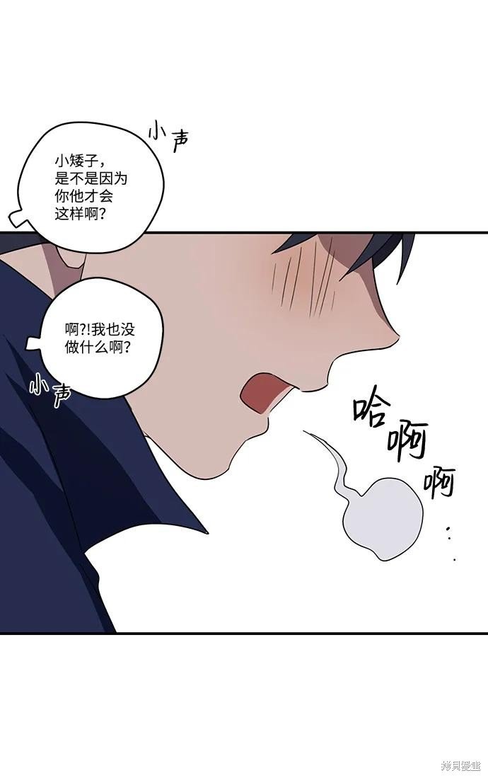 第117话
